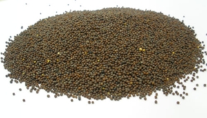 Sennep, Brun, Hel - 100 g.