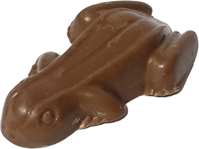 En smuk udformet chokoladefrø i lys chokolade.